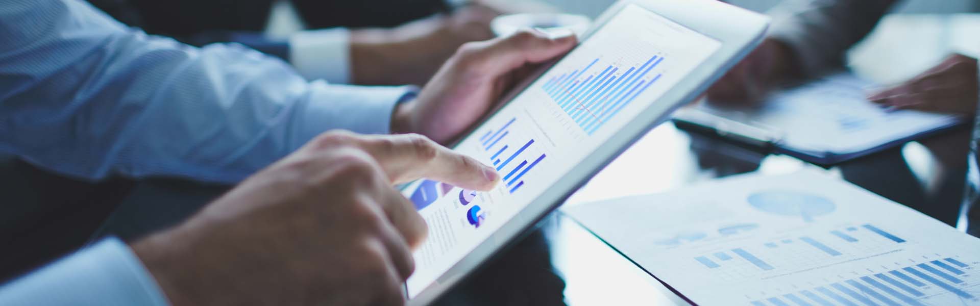 Aspiliç Piliç piliç eti Ürünleri