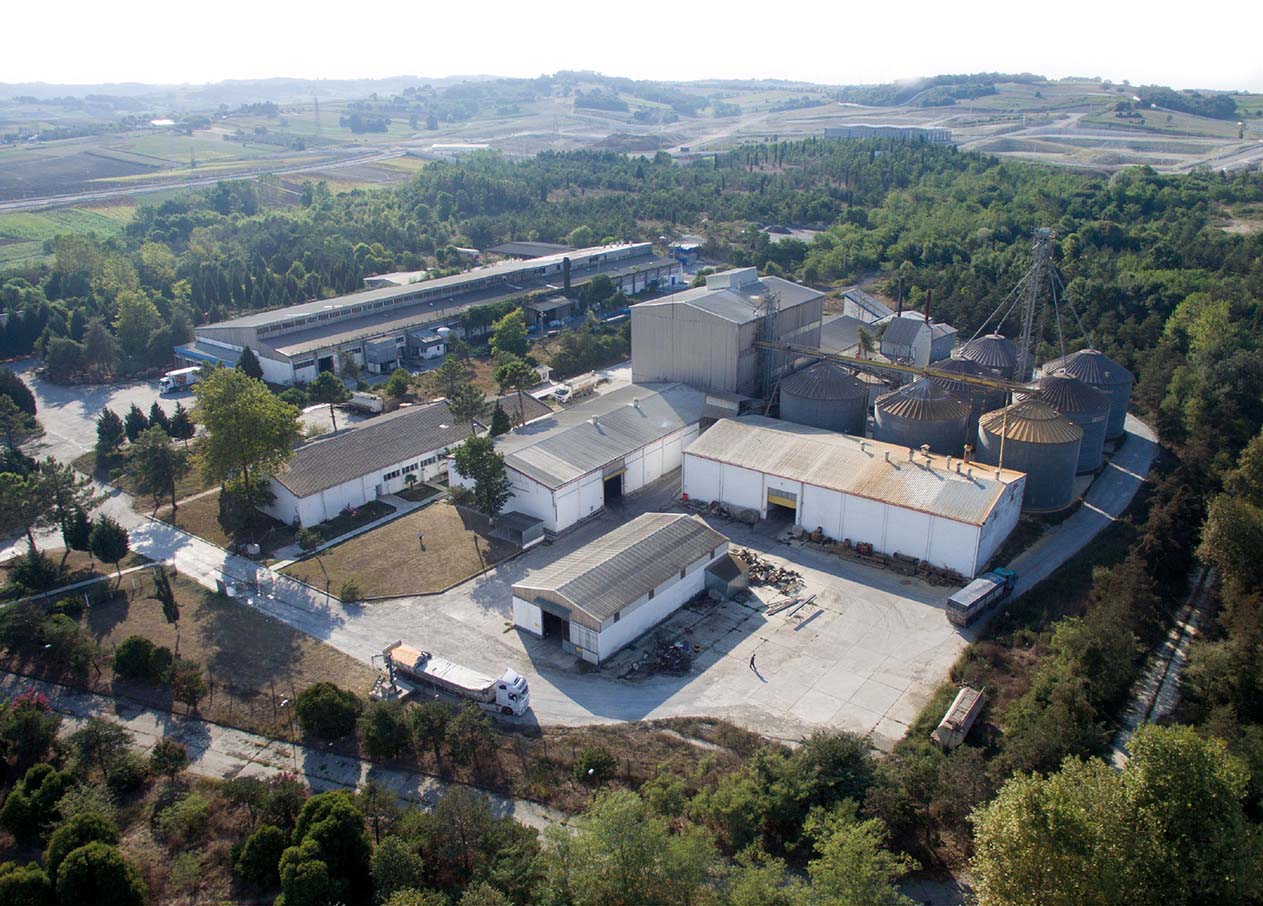 aspiliç damızlık kümesler