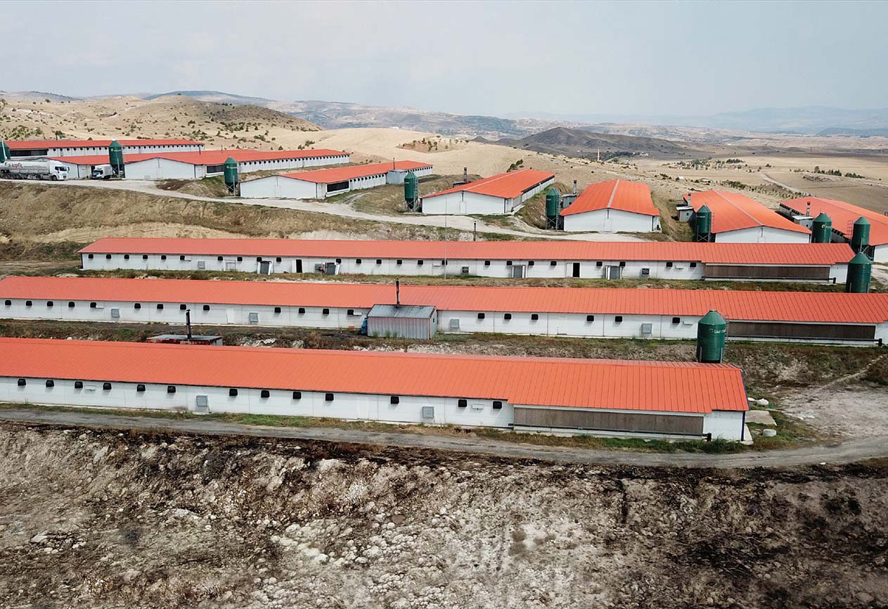 aspiliç kuluçkahane